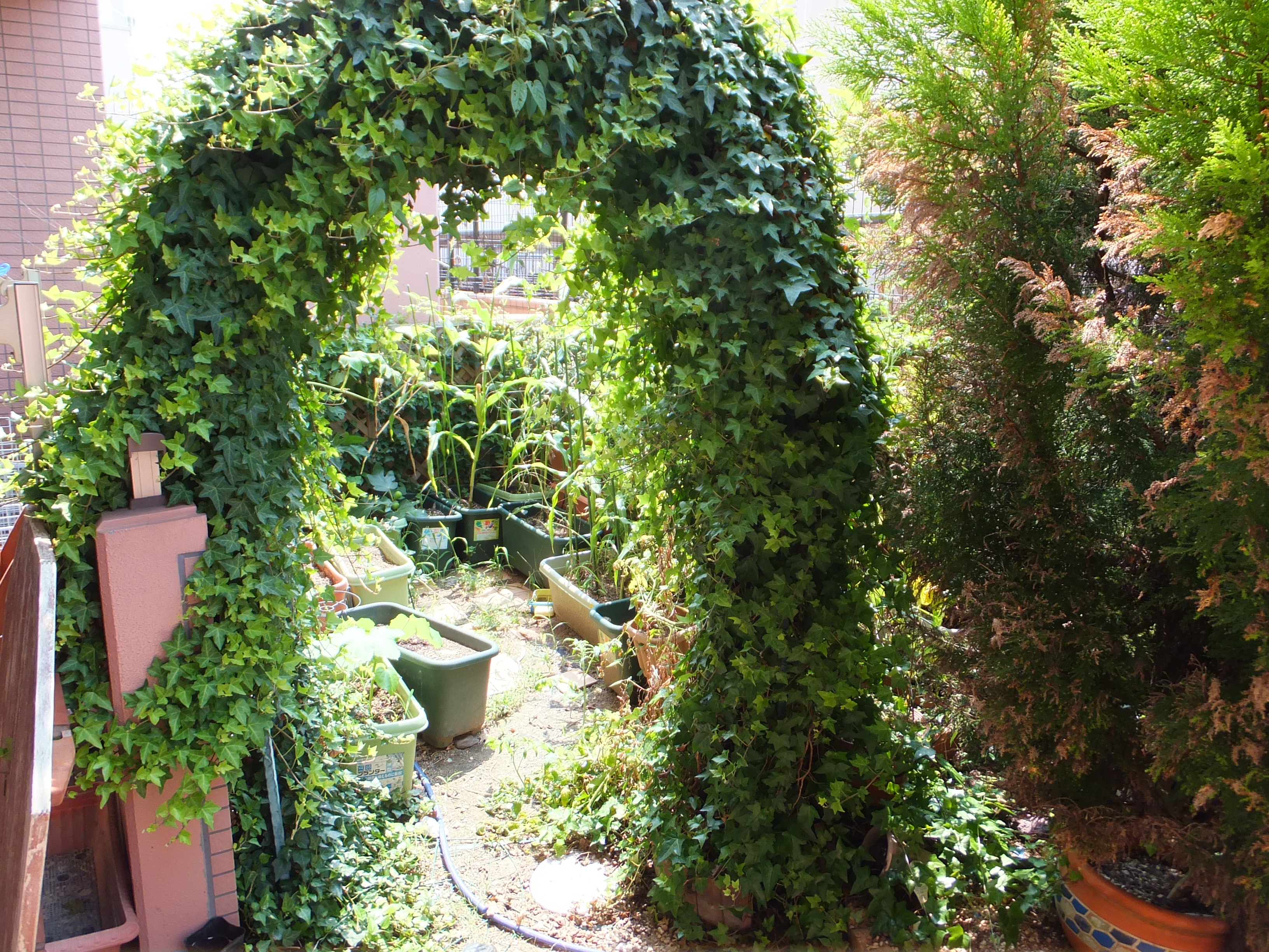 化粧品（美容＆ファッション）に関するWebメディア